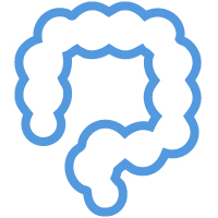 premier-diagnostic-imaging-colon-icon.jpg