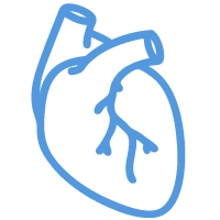 Heart Icon for Heart scan / Cardiac CT services at Premier Diagnostic Imaging in Cookeville, Tennessee
